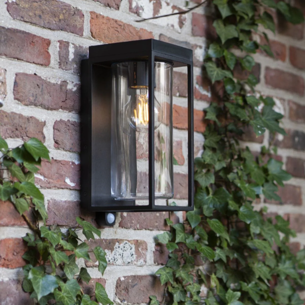 Illuminate Your Perfect Garden Escape